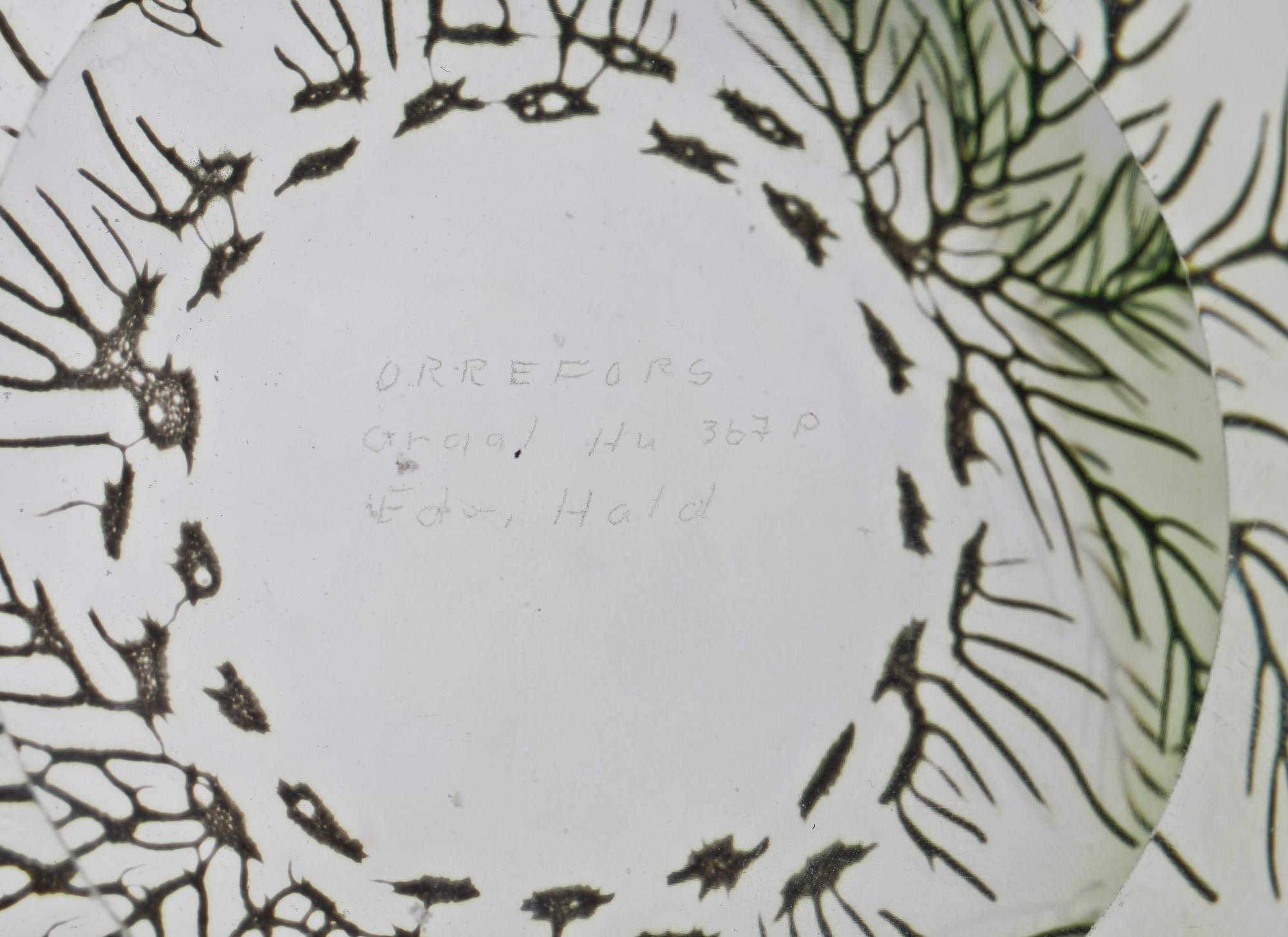 SKÅLFAT, glas, "Fiskgraal" Edvard Hald Orrefors.