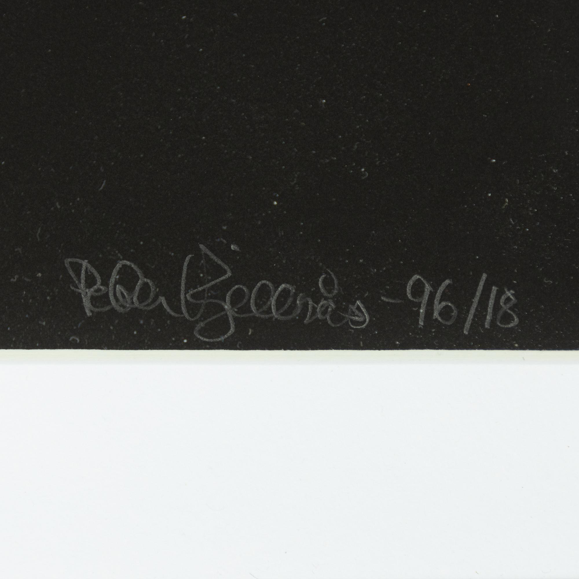 Peter Kjellerås, "Lou Reed, Stockholm", 1996.