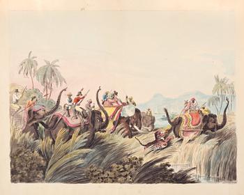 368. Hunting scene with tiger and elephants.