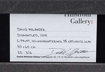 DAVID MOLANDER, C-print, signerad och numrerad 3/6.