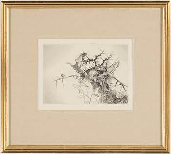 STIG ÅSBERG, etching signed with pencil.