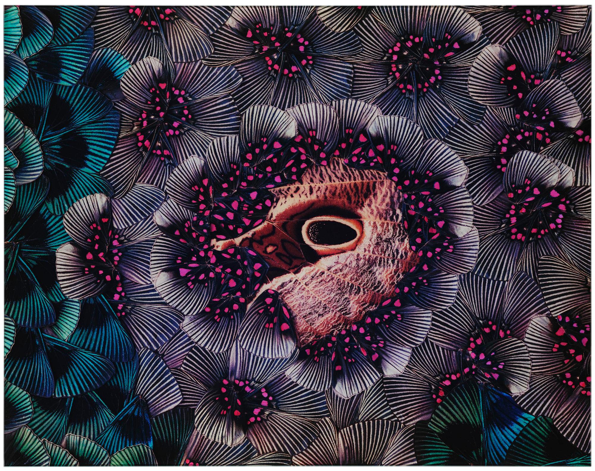 Nathalia Edenmont, "Ovary", 2015.