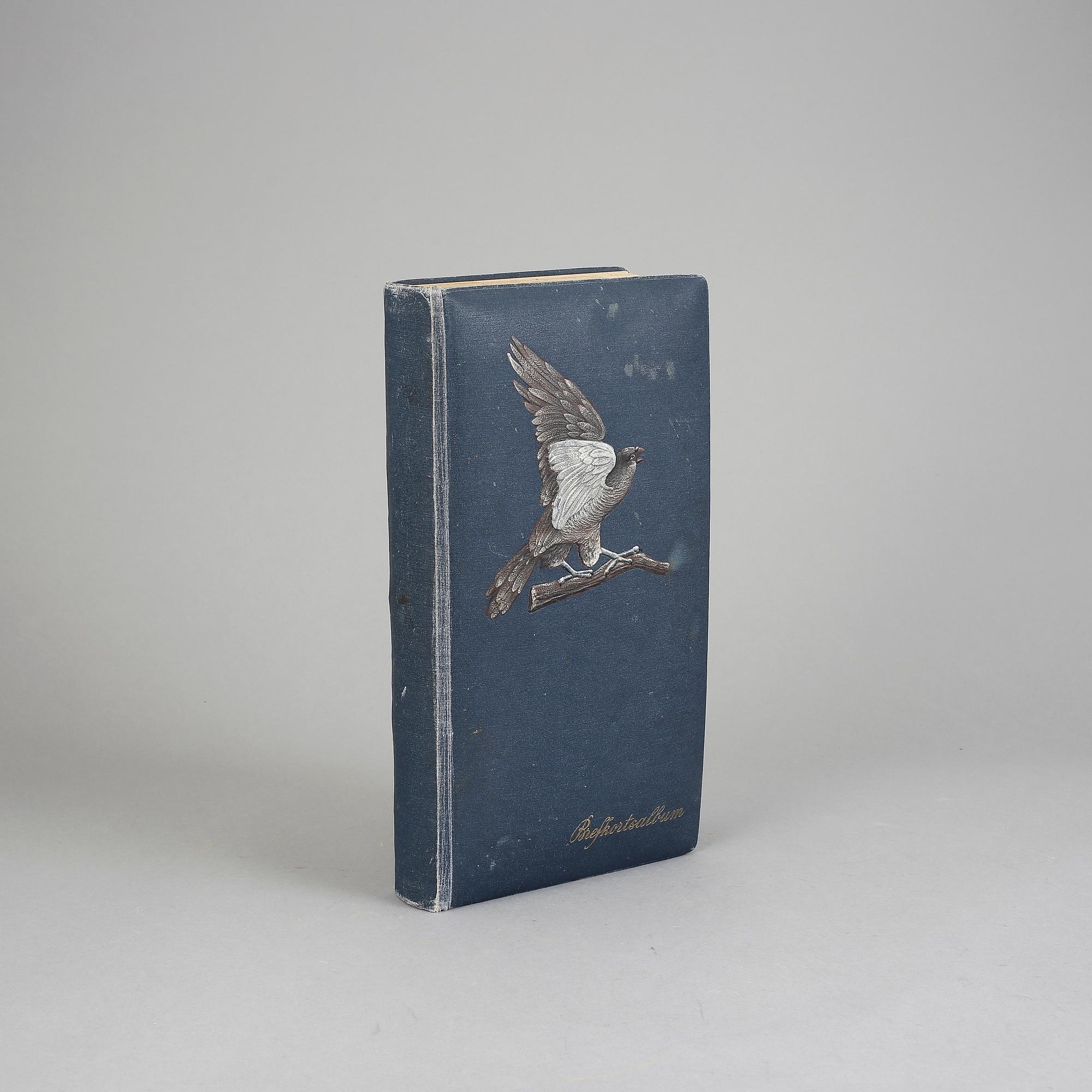 VYKORTSALBUM, tidigt 1900-tal, omkring 100 bilder.