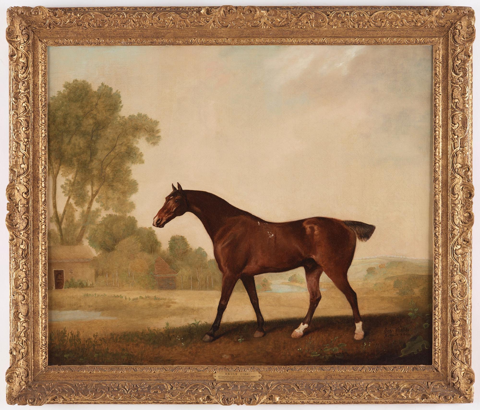 George Stubbs, "Eagle, a bay racehorse".