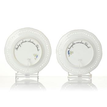 A set of 12 Royal Copenhagen 'Flora Danica' lunch plates, Denmark, 1889-1922.