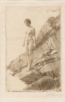 Anders Zorn, etsning, 1907, signerad med blyerts.