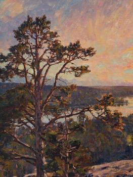 Gottfrid Kallstenius, Motif from Järlasjön.