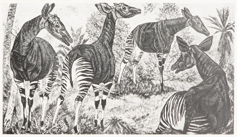 FOLDER, 18 offset prints, Bergendahls, Göteborg 1954.