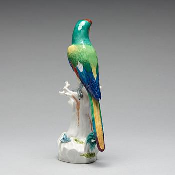 A Meissen figure of a parrot, circa 1900.