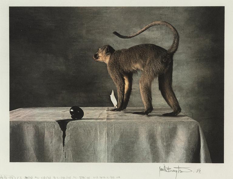 Jan Bengtsson, gum print, signed and dated 84.