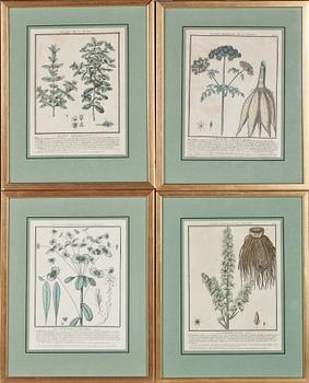 GRAFISKA BLAD, 4 st, kolorerade, 1700/1800-tal.