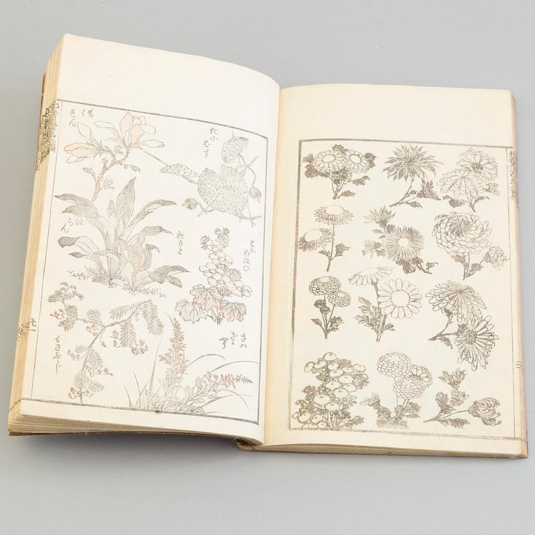 13 Japanese woodblock printed books with illustrations, 19th century.