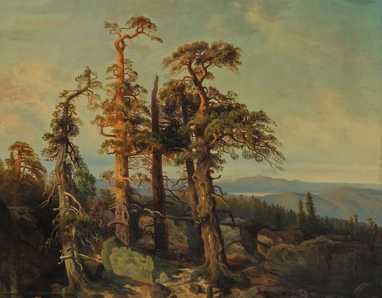 "Tarn in Telemark".