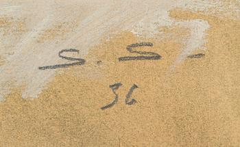 Santeri Salokivi, Nakenmodell.