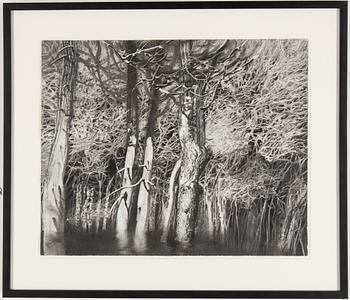 ROJ FRIBERG, blyerts på papper, signerad Rf. och daterad 73.