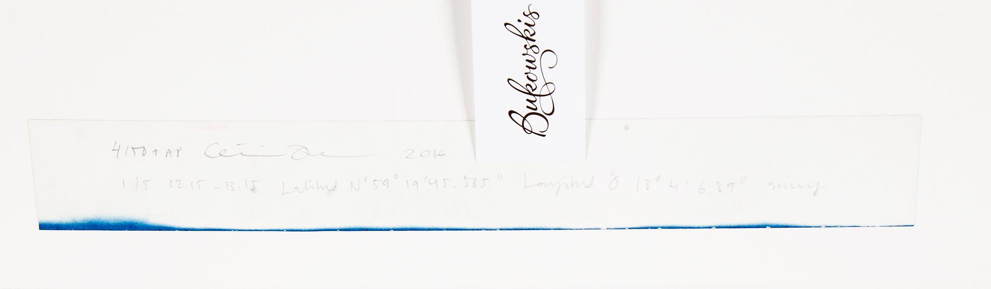 CECILIA ÖMALM KRAJCIKOVA, cyantopi, signerad Cecilia Ömalm, daterad 2016 och numrerad 4/50+AP med blyerts à tergo.