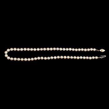 COLLIER, odlade sötvattenpärlor, lås 18 k guld.