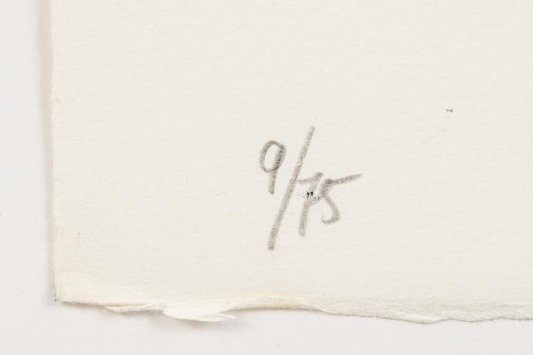 Djuric Miodrag Dado, 12 stycken litografier med mapp. Samtliga signerade och numrerade 9/75.