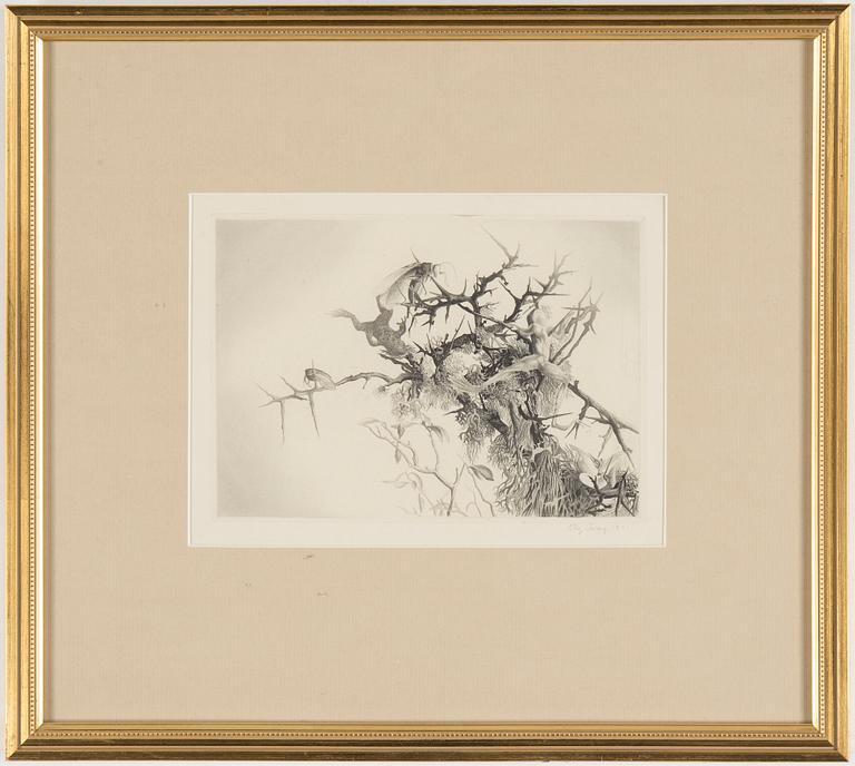 STIG ÅSBERG, etching signed with pencil.