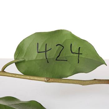 Tony Matelli, "Weed #424".