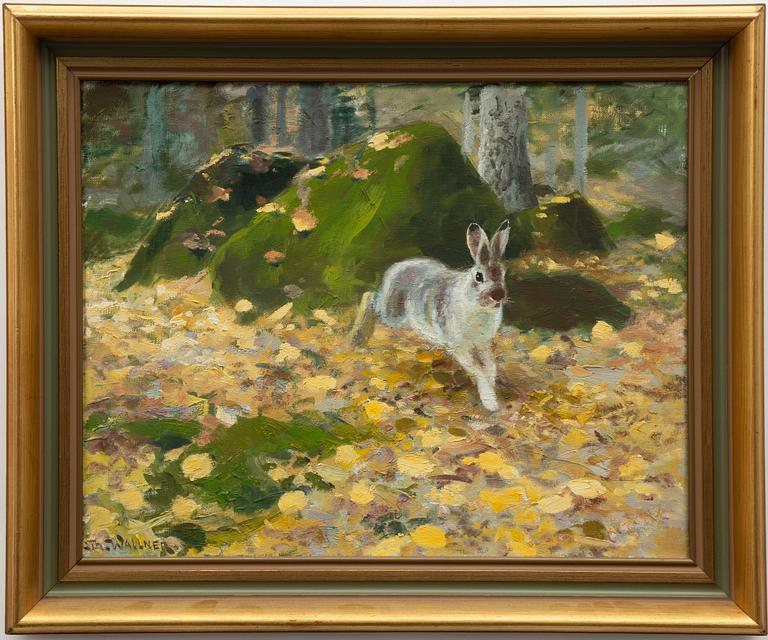 Thure Wallner, Hare in the autumn woods.