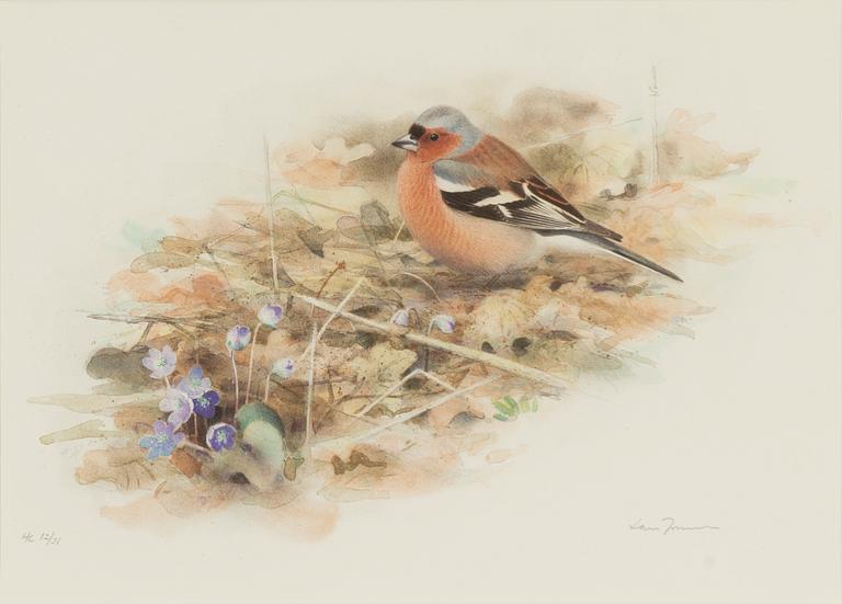 Lars Jonsson, Chaffinch.
