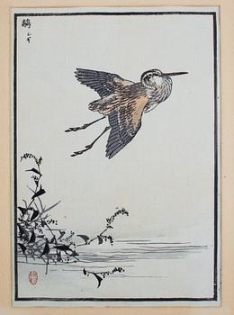 FÄRGTRÄSNITT, 5 st, bl.a. efter Hiroshige, Japan, 1800-1900-tal.