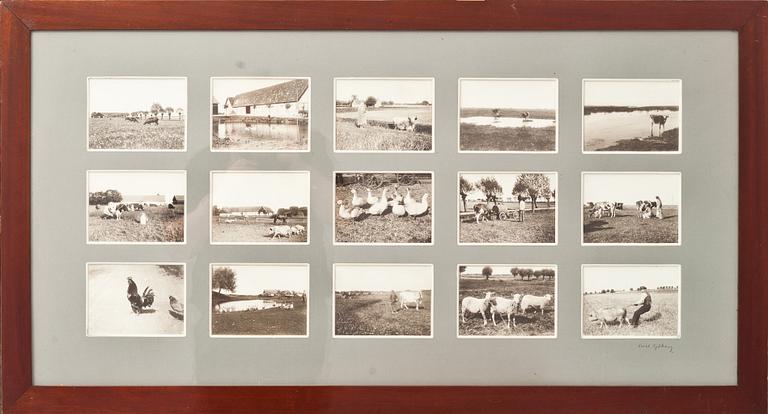 FOTOCOLLAGE, 2 st. Signerade  Axel Sjöberg. Omkring 1900.