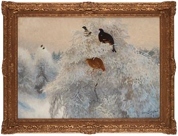 Bruno Liljefors, Winter landscape with black grouse in tree tops.