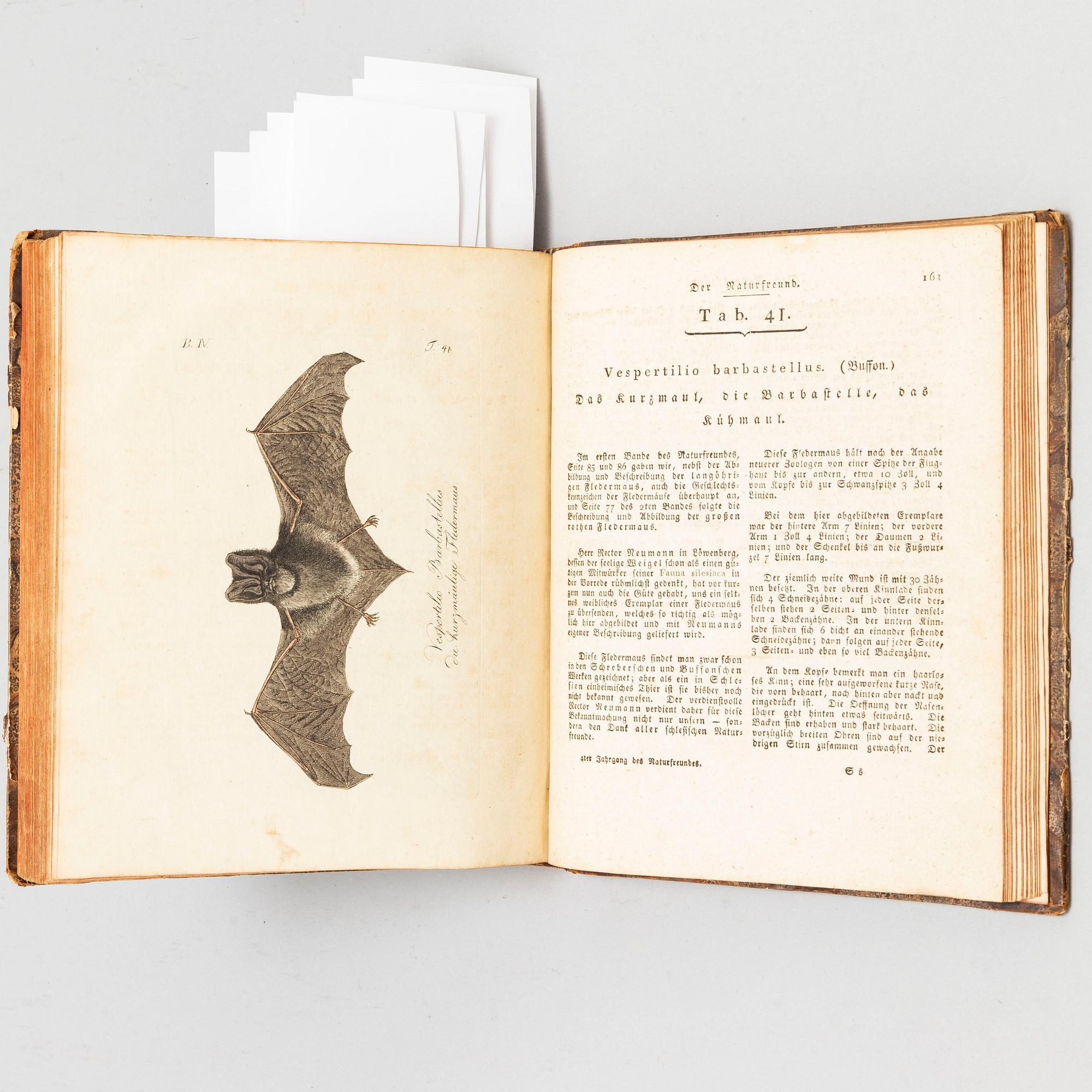 BOOK, with hand coloured dry needle engravings.