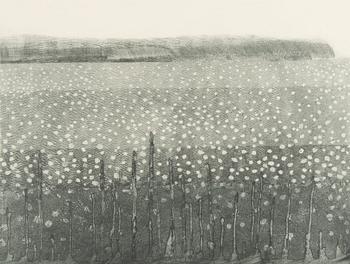 Evi Tihemets, "Soomaastik".