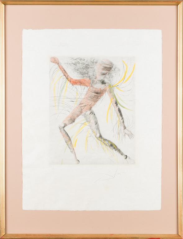 SALVADOR DALÍ, käsinväritetty etsaus, signeerattu ja numeroitu XXXI/C.