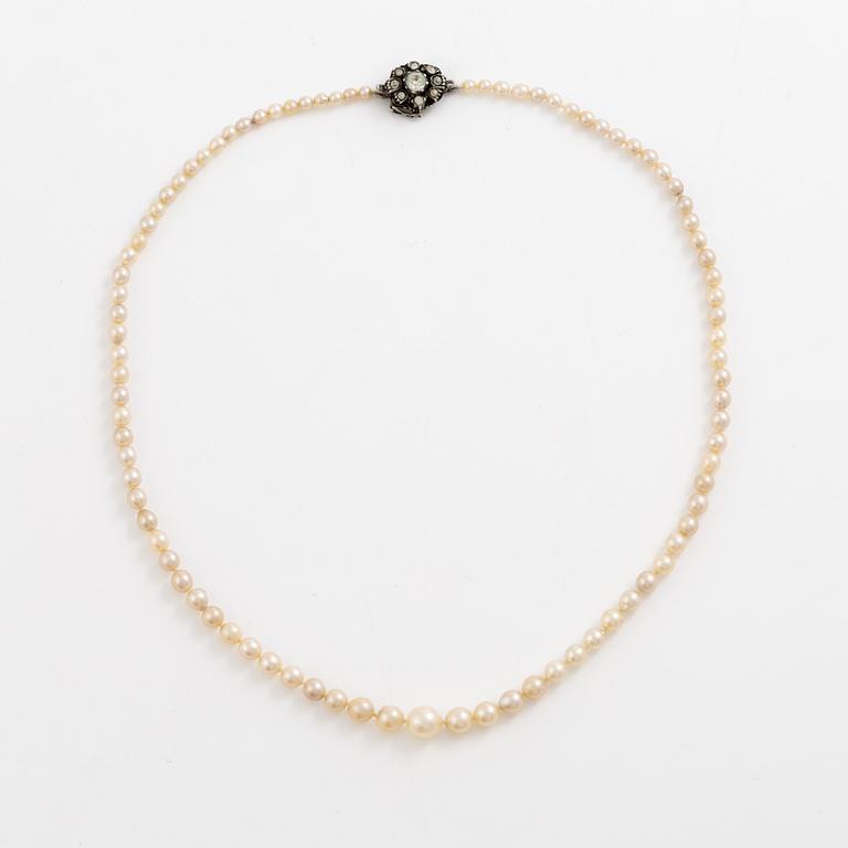 Collier odlade pärlor lås silver med paste.