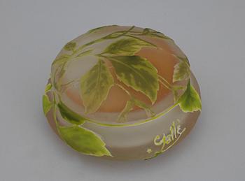 ASK MED LOCK, glas, Emile Gallé, Nancy, Frankrike. 1900-talets första hälft.