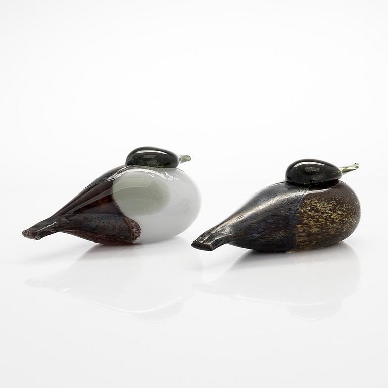 Oiva Toikka, two "Black Male and Female Eider" glass birds, signed O. Toikka Nuutajärvi.