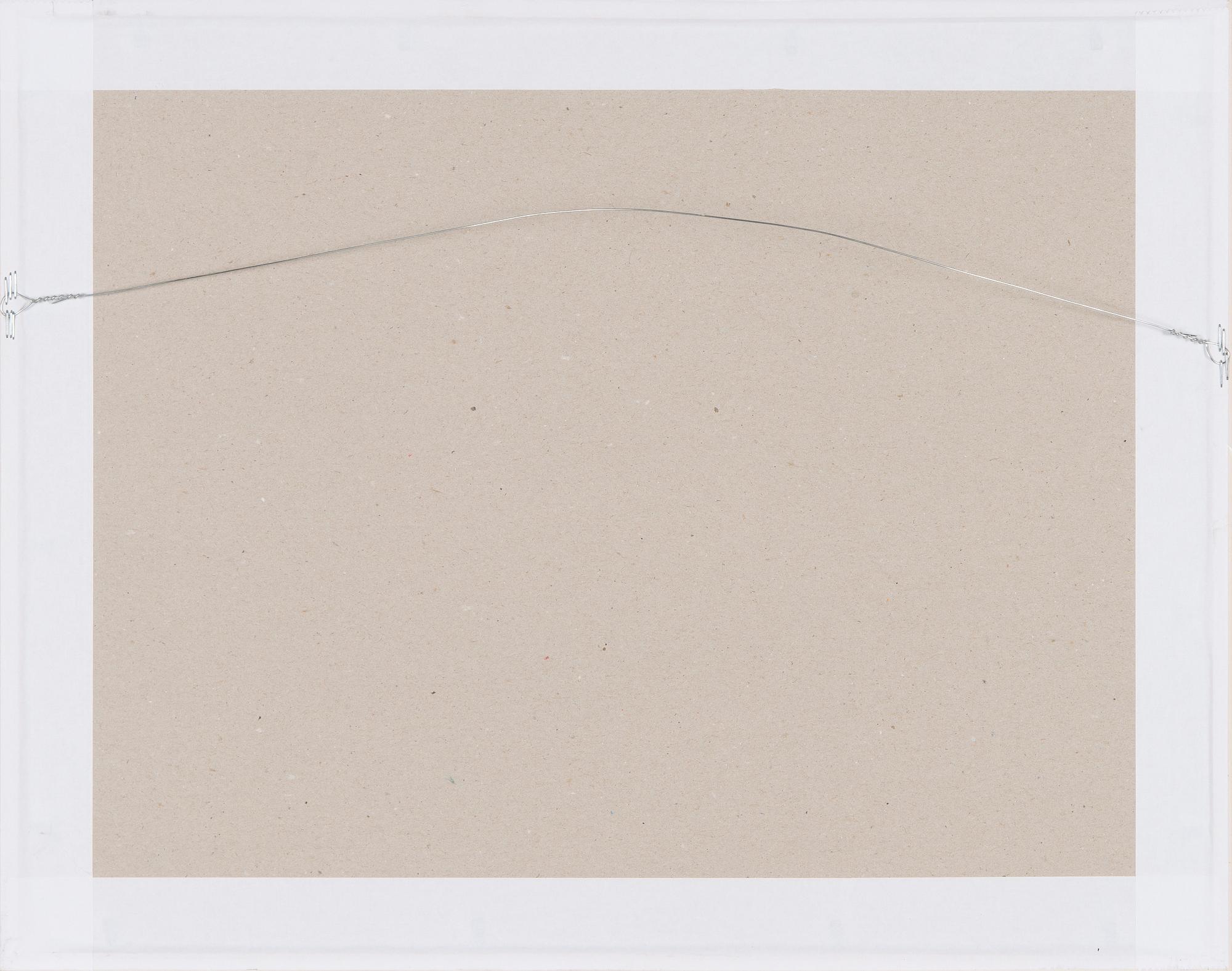 Pentti Kaskipuro, Mushroom.