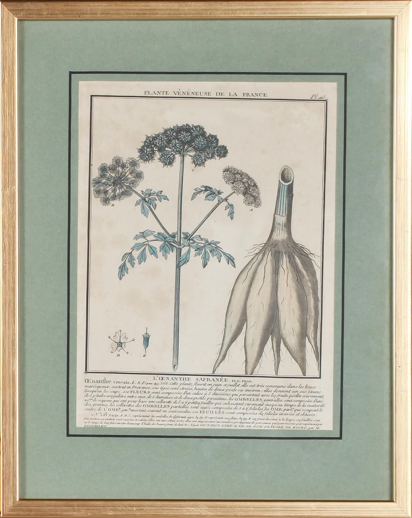 GRAFISKA BLAD, 4 st, kolorerade, 1700/1800-tal.