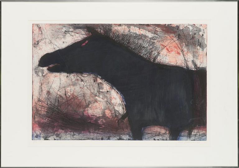 Kirsi Neuvonen, etching, drypoint and aquatint, signed and dated -87, numbered Tpl'a 24/50.
