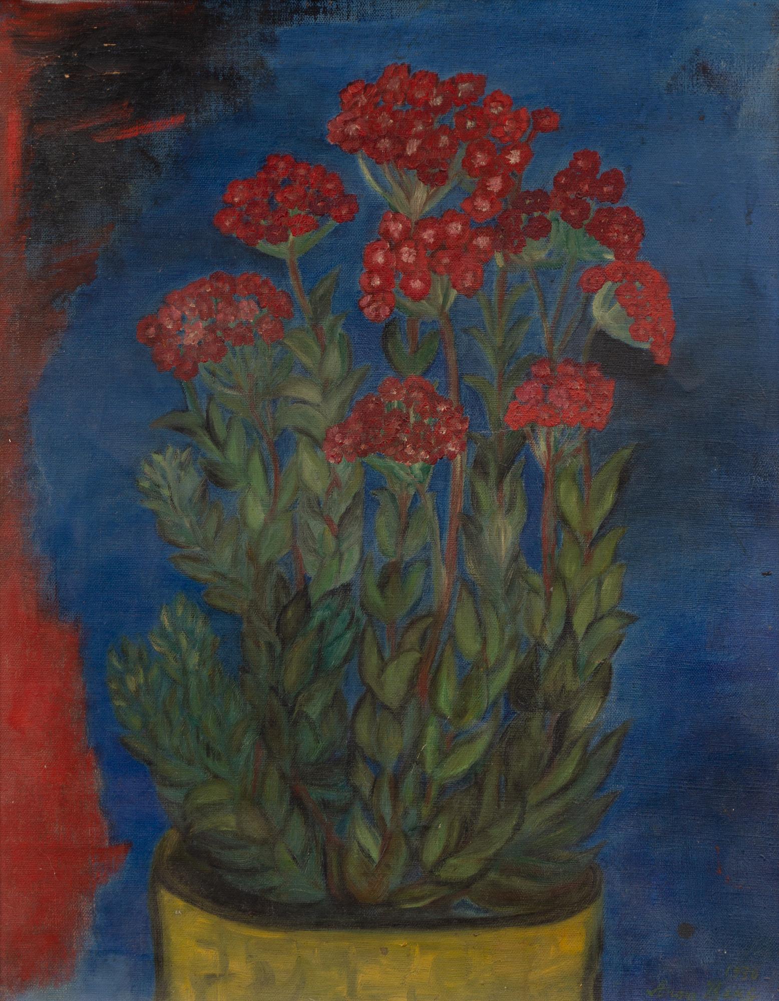 Anna Berg, "Sedum mot blå fond".