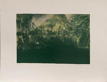 Ola Billgren, Untitled.