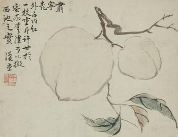 An album page, ink and colour on paper, after Li Shan (1686-1756/62).