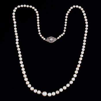 Cultured pearl necklace, clasp white gold with old-cut diamond.