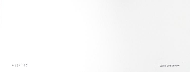 HANS GEDDA, pigmentprint, sign och numr 19/100.