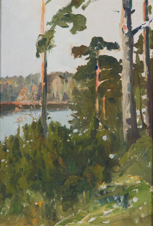 Eliel Saarinen, View from Hvitträsk.