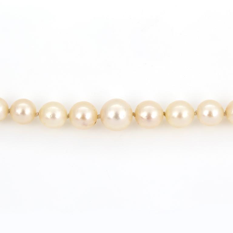 COLLIER, odlade saltvattenspärlor, lås i silver.