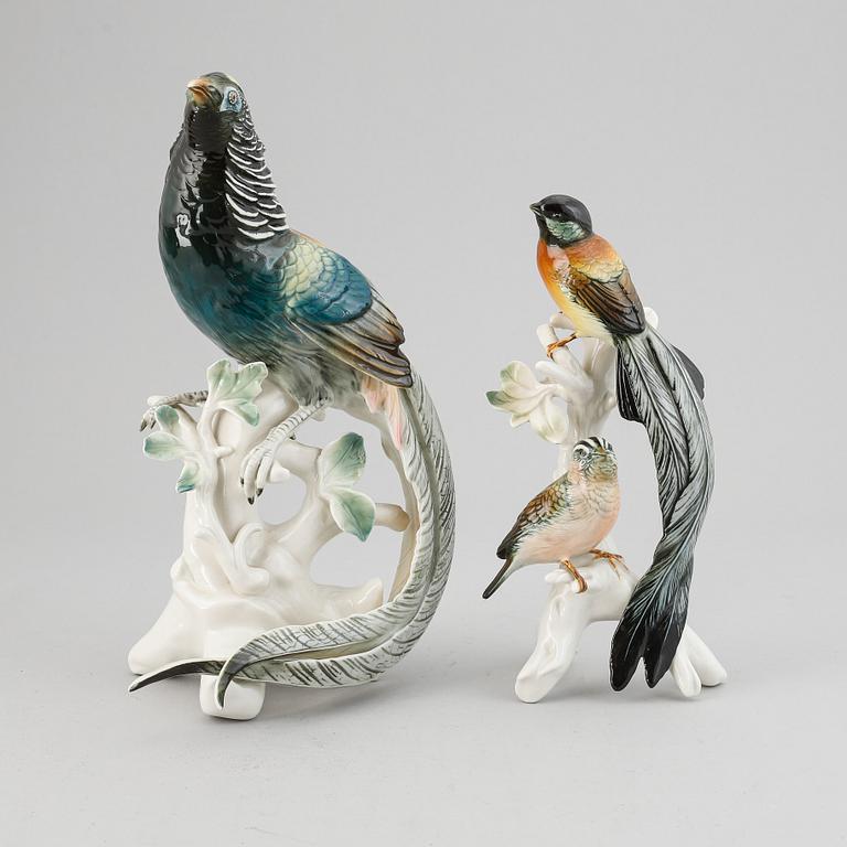 Two bird figurines, porcelain, Germany.