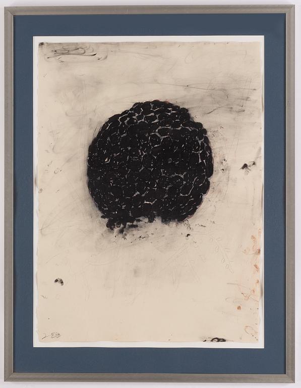 Terry Winters, lithographs in colours, 11, 1985-1986, signed. First lithograph numbered 26/39.