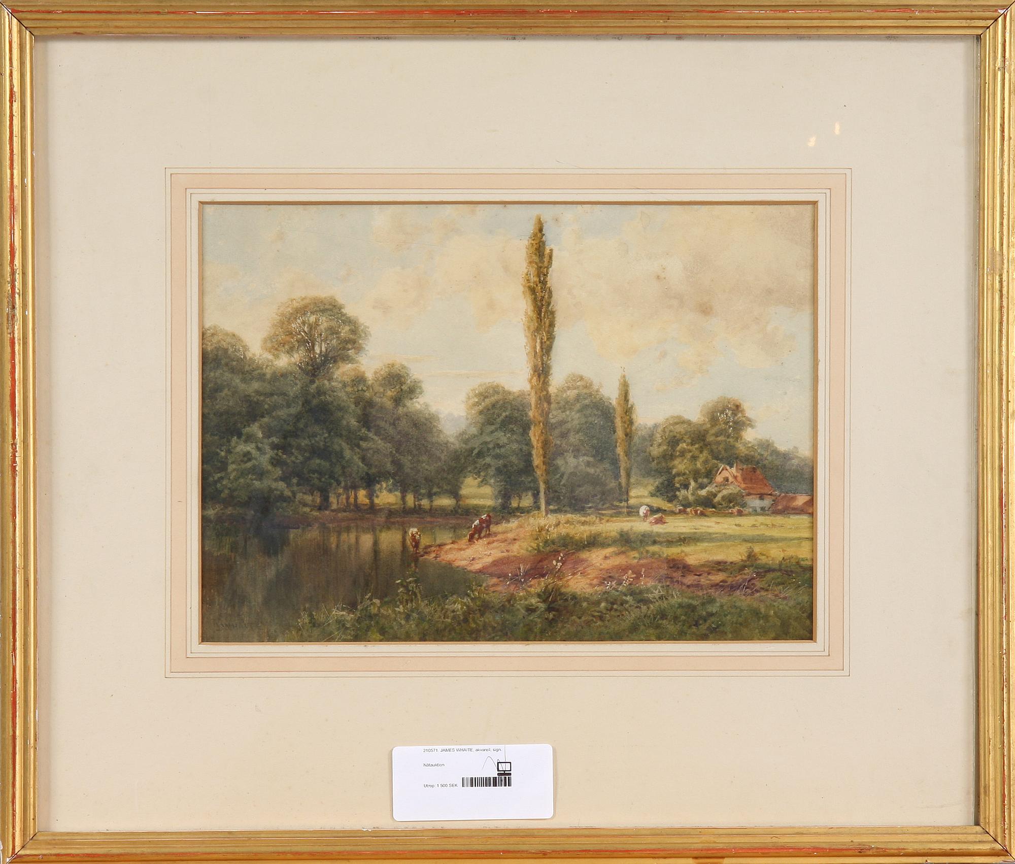 JAMES WHAITE, akvarell, sign.