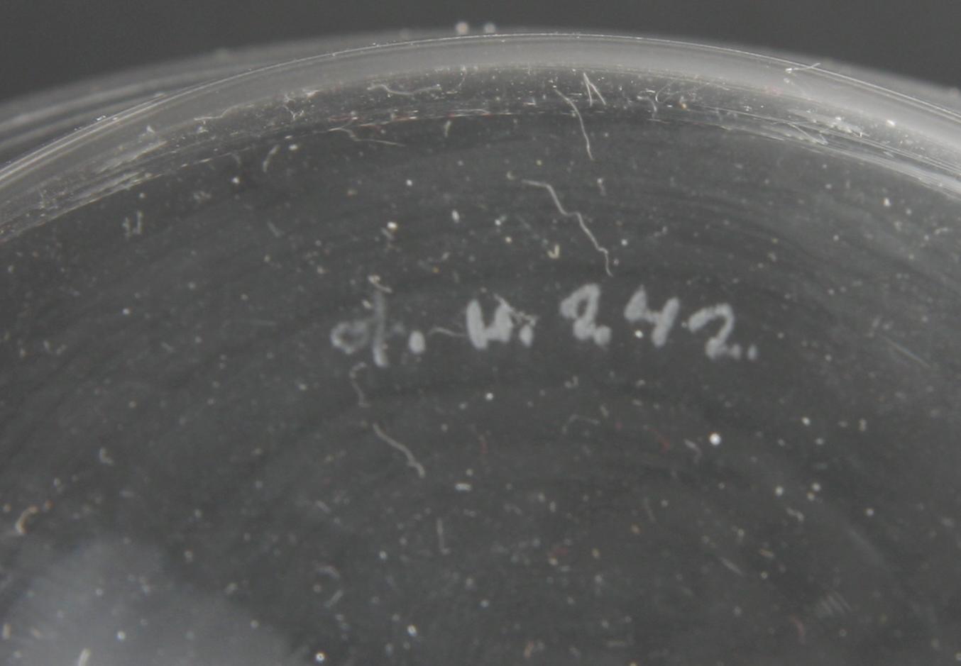 SKÅL PÅ FAT, glas, Orrefors, Edward Hald.