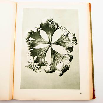 Book, "Art Forms in Nature", Karl Blossfeldt, Spamersche Buchdruckerei, Leipzig, 1930.